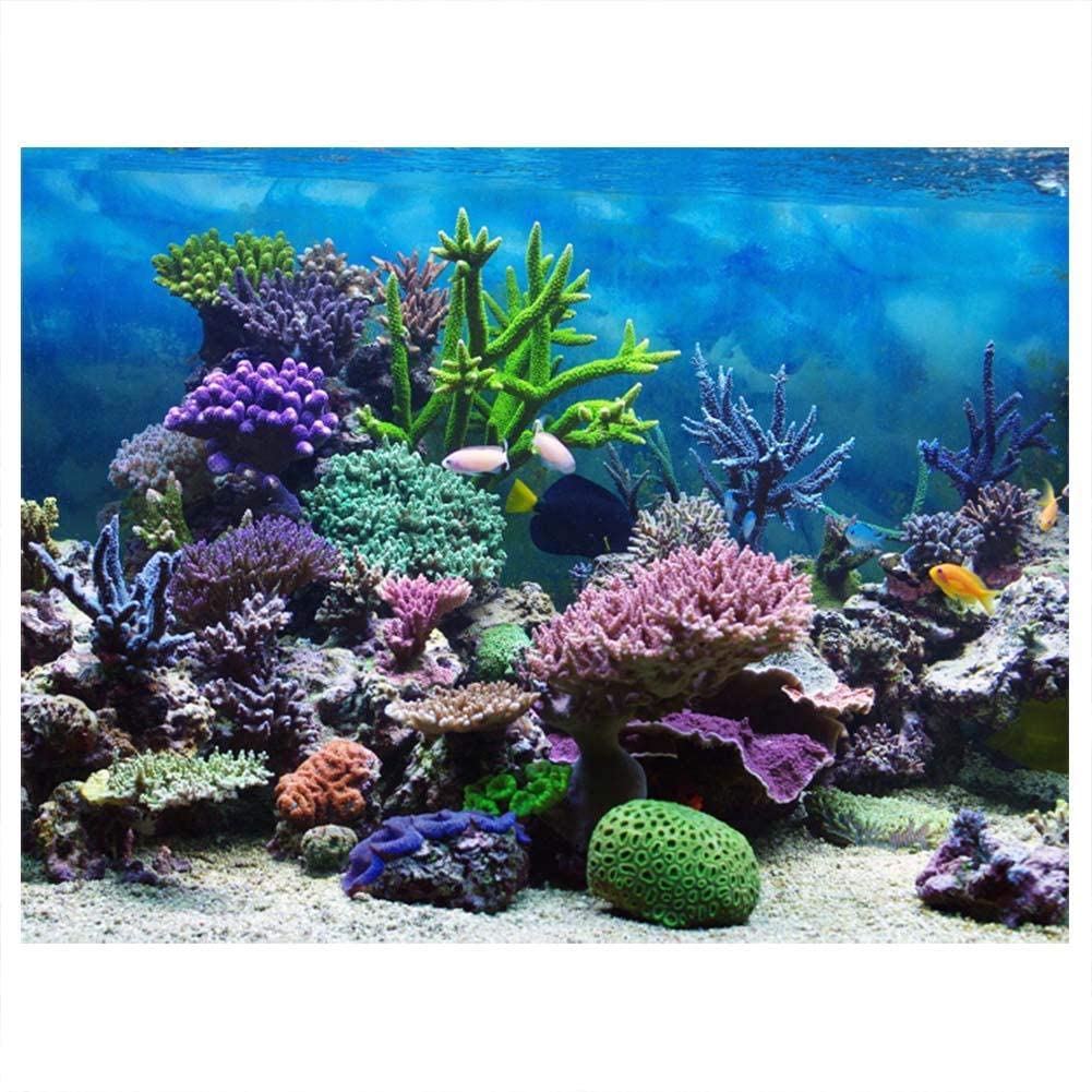 Amazon Aquarium Background Poster Fish Tank Backdrop Pvc