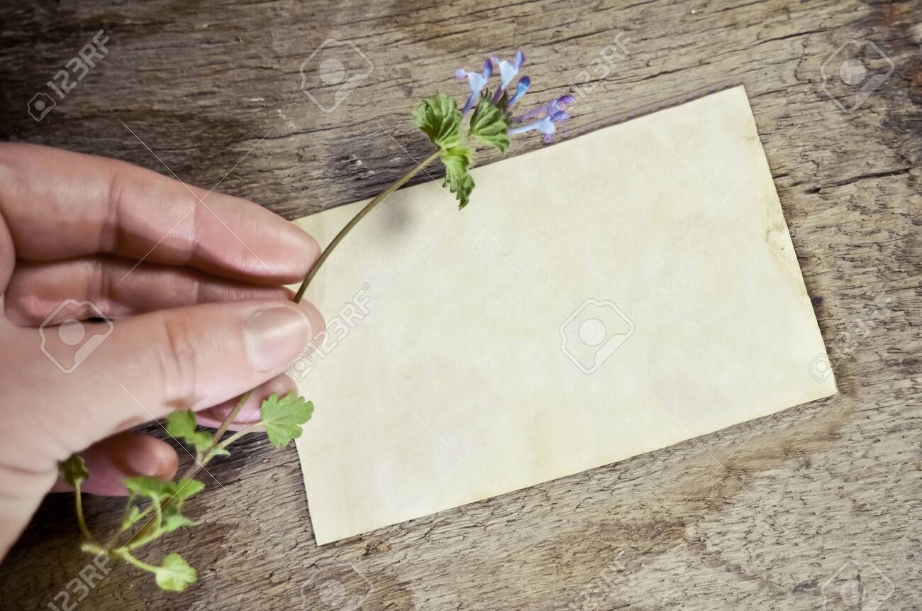🔥 Download Blank Notecard With Hand Holding Flower On Rustic Wood