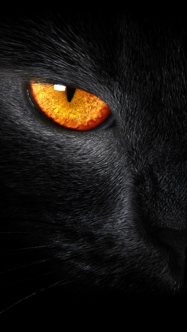 45 Black Panther Iphone Wallpaper On Wallpapersafari