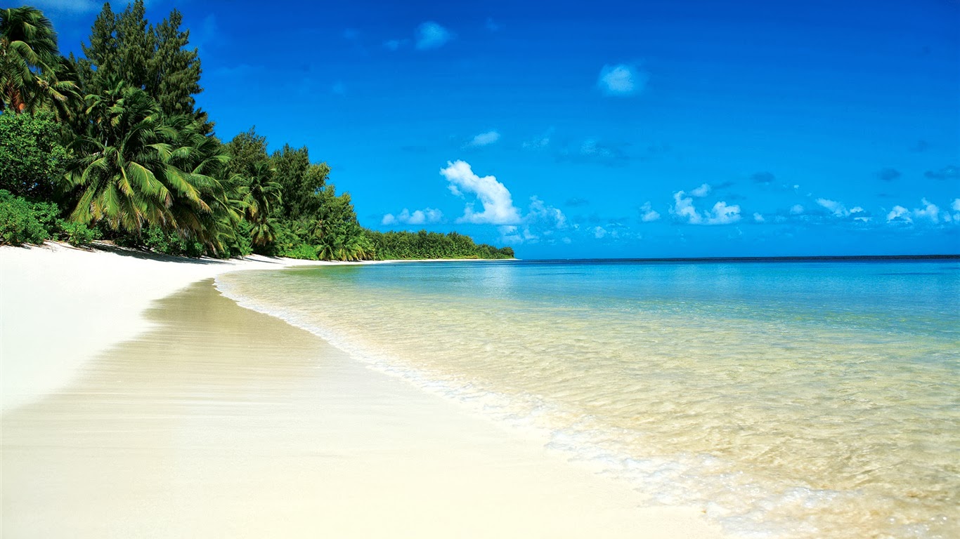 define beach tourism