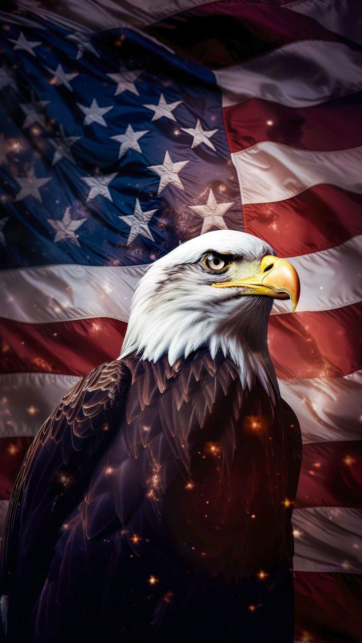 4k HD Wallpaper Eagle Flash America Usa United States