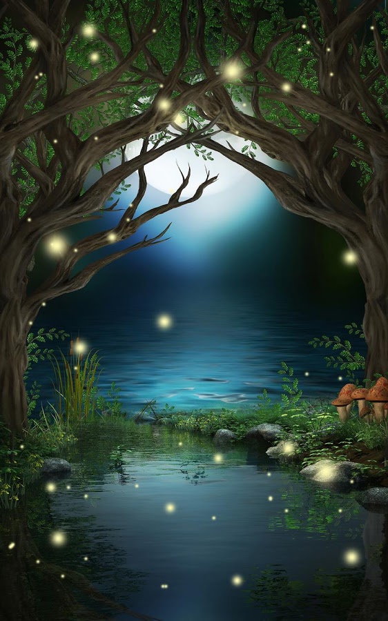 Fireflies Live Wallpaper Android Apps On Google Play