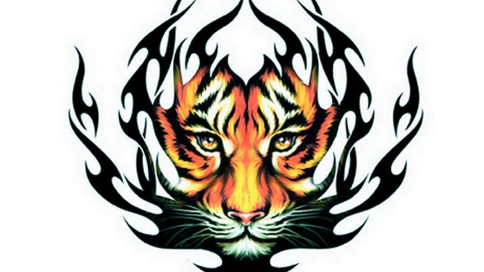 Free download Tiger Tattoo Tribal Free Choice Wallpaper Free Choice  Wallpaper [950x534] for your Desktop, Mobile & Tablet | Explore 49+ Tribal Tattoo  Wallpaper | Tattoo Backgrounds, Tribal Dragon Wallpaper, Tribal Background