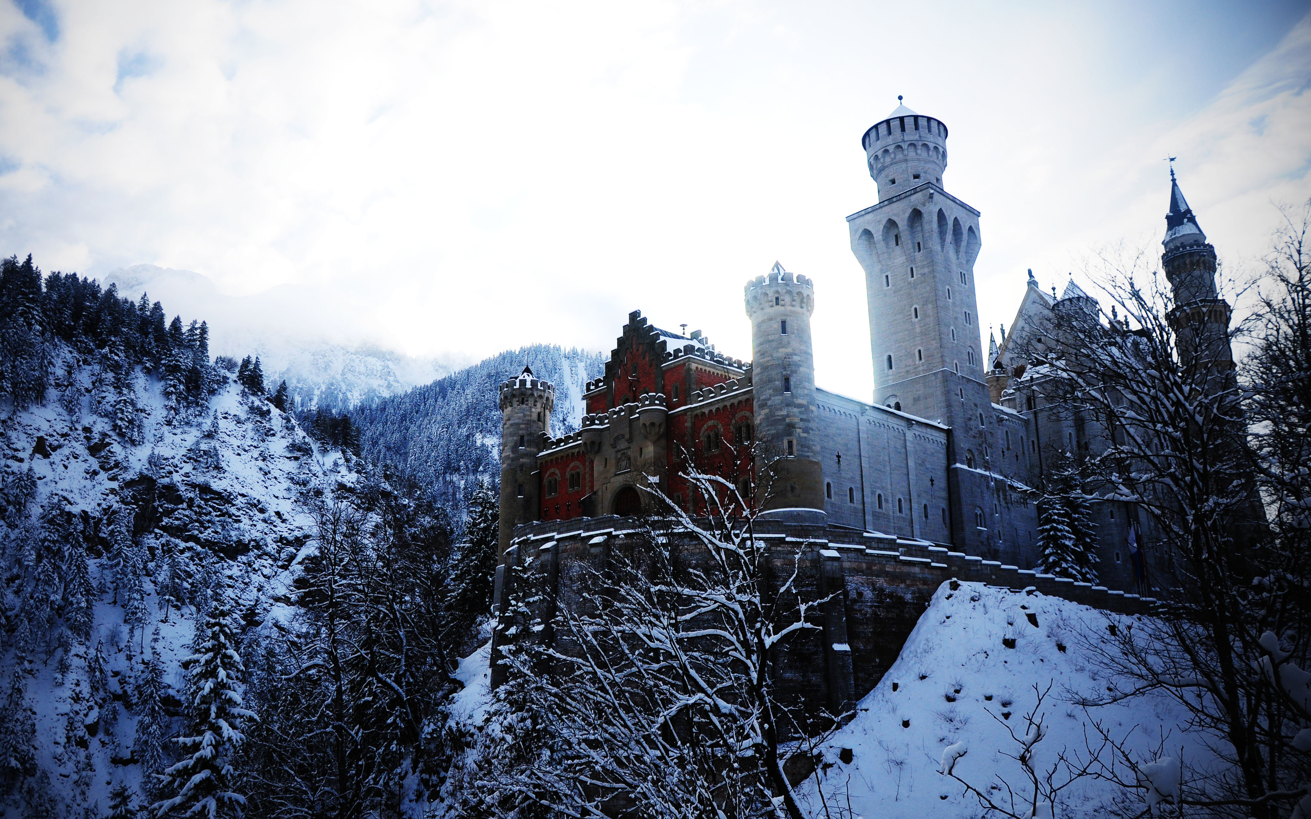 Alps Germany Neuschwanstein Castle Bovary Winter Wallpaper