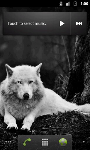 Wolves Hq Live Wallpaper App Para Android