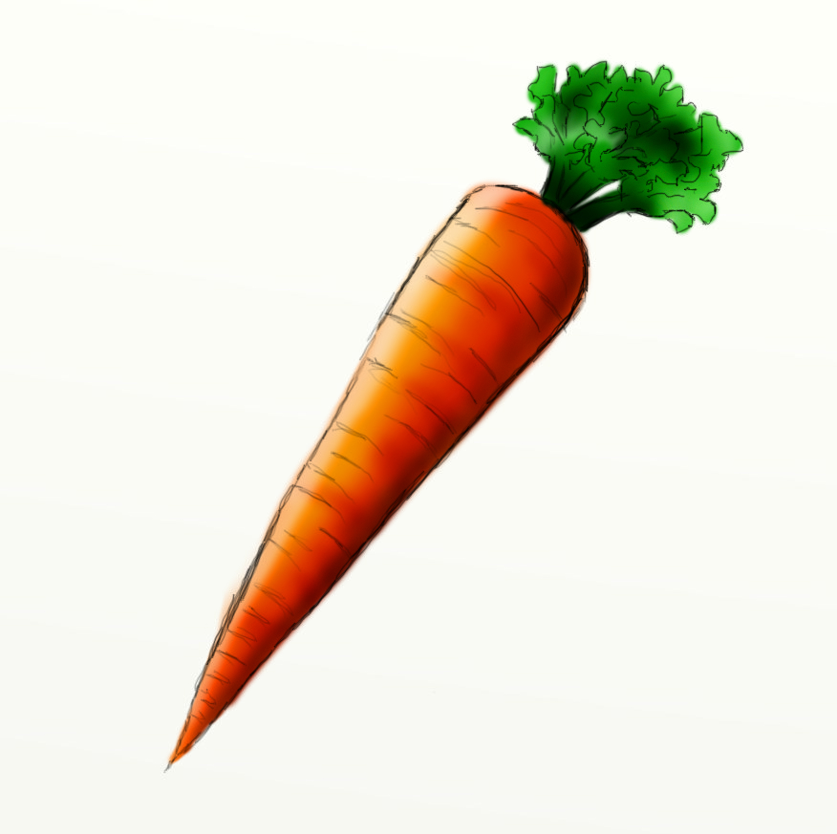 Day Food Of The Carrots I Art