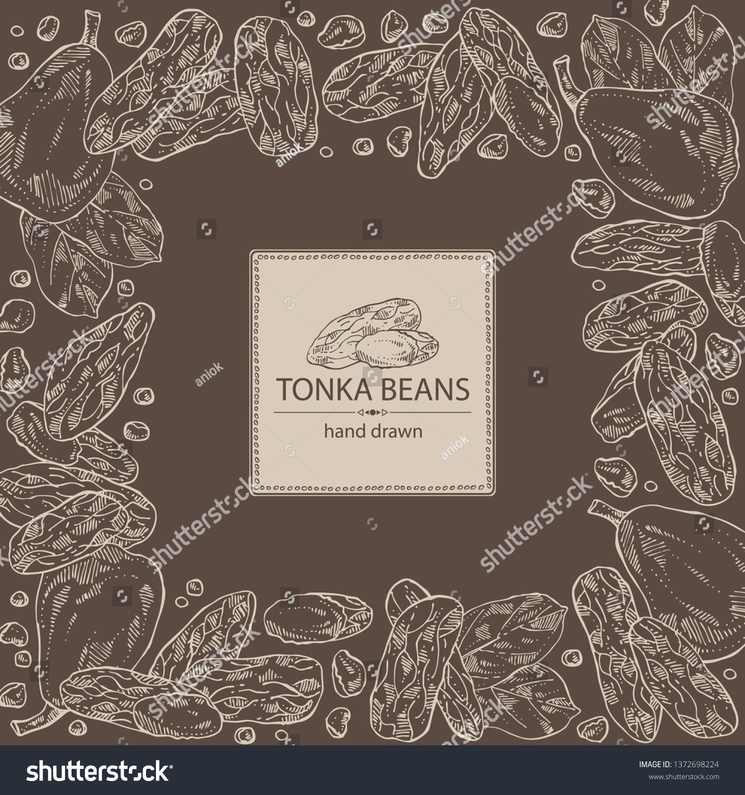 Background Tonka Beans Fruit Stock Vector Royalty