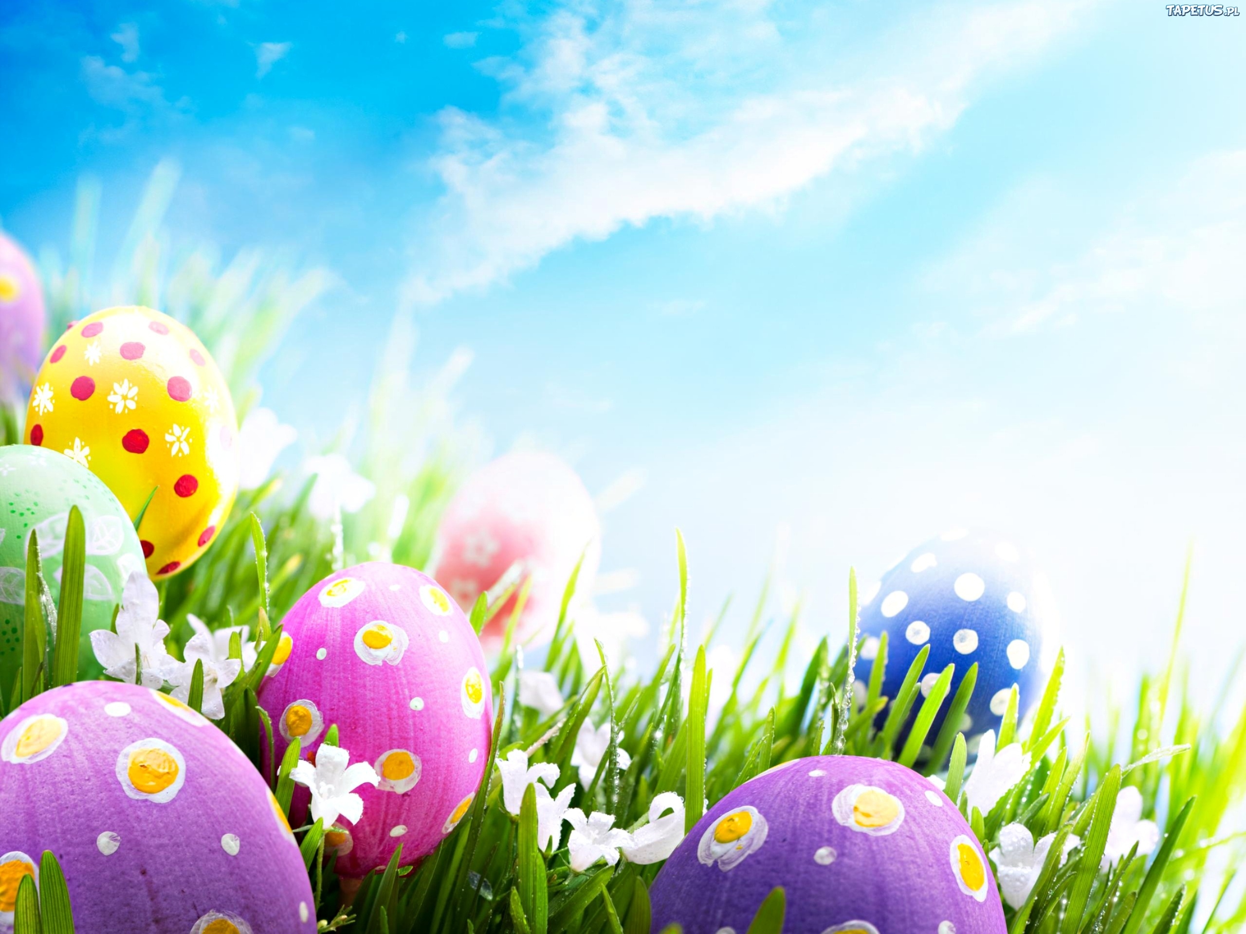 Easter Backgrounds 2016 download free Wallpapers Backgrounds
