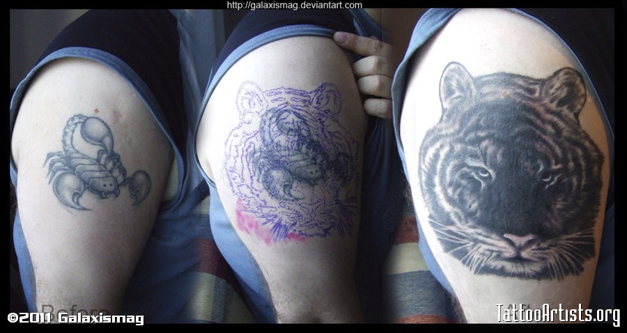 Upper Arm Tattoo Cover Up Ideas Photo Wallpaper Image And