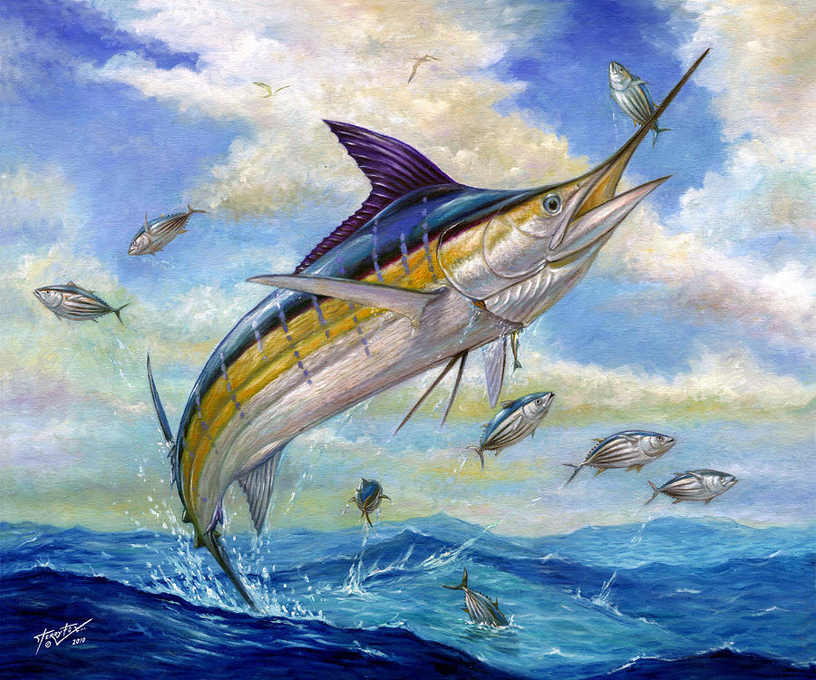 Marlin Fishing Wallpaper Cake Ideas And Designs