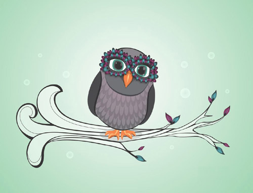 Bie Masked Owl Desktop Wallpaper Photo Sharing