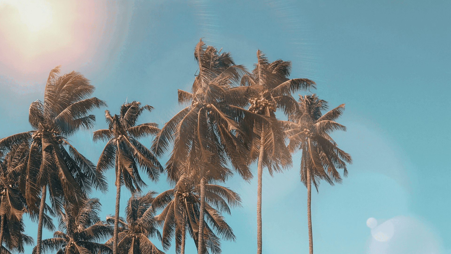Background Wallpaper