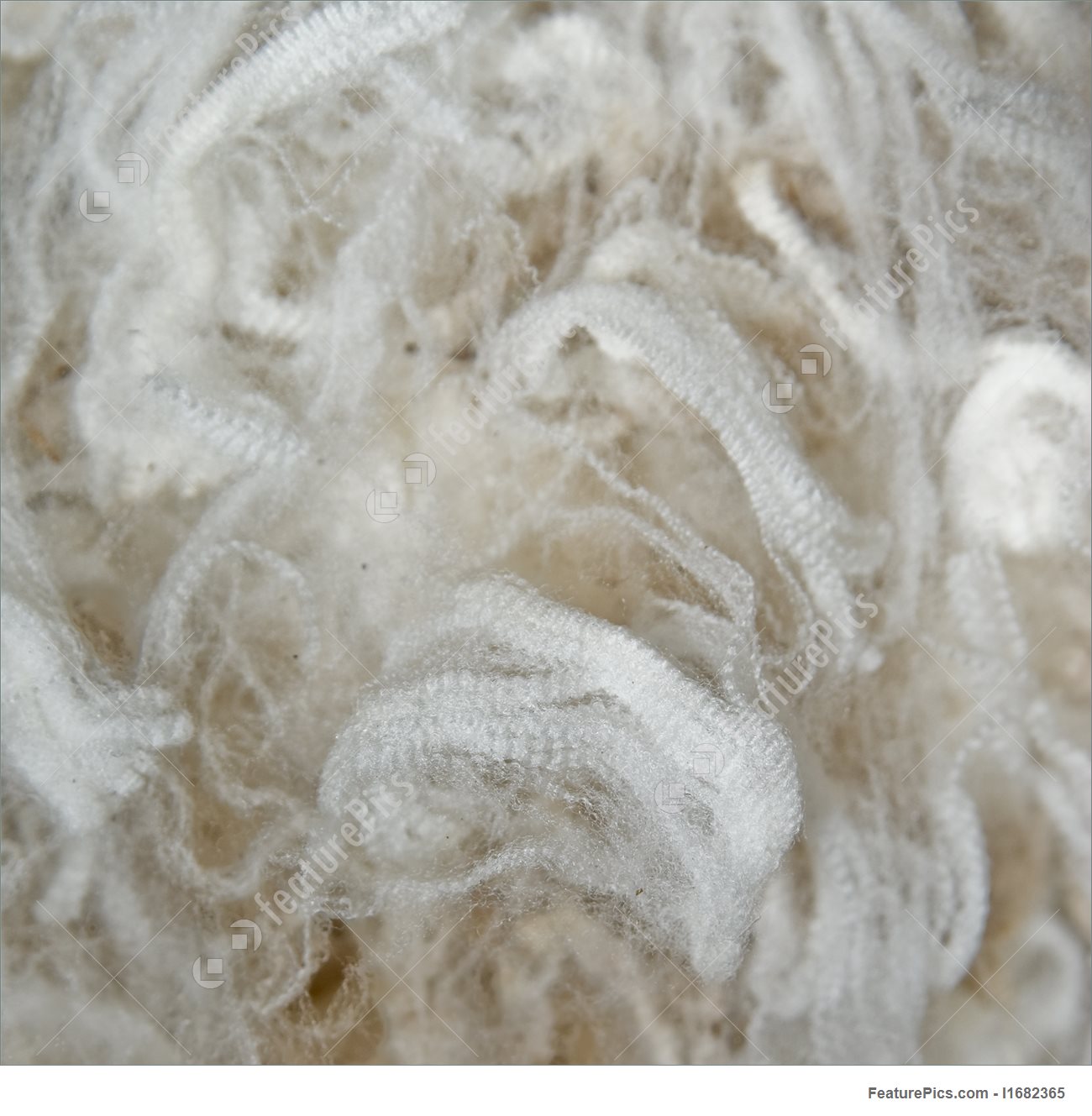 Texture Wool Background Stock Image I1682365 At Featurepics