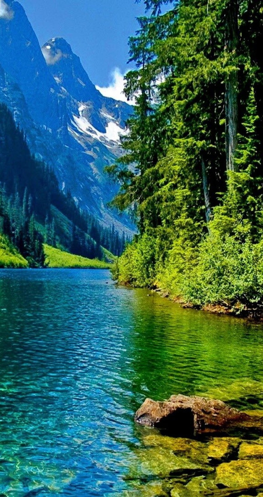 Nature Green Water Hd Wallpaper Smart