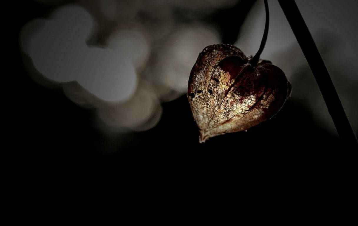 Dark Heart Wallpaper