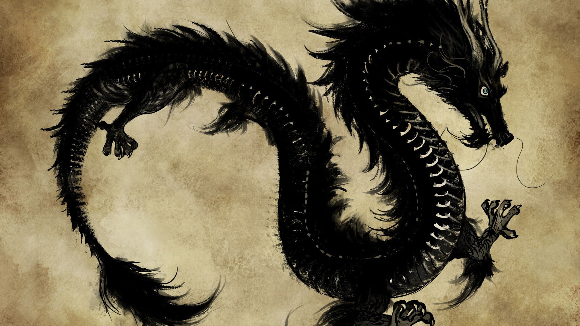 A majestic black ink drawing of a Chinese dragon, swirling against a parchment-like backdrop