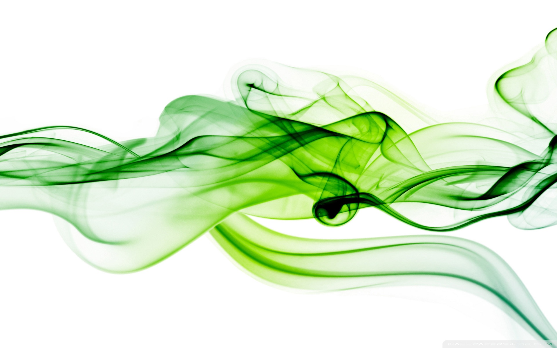 Green and White   Wallpaper High Definition High Quality Widescreen 1920x1200