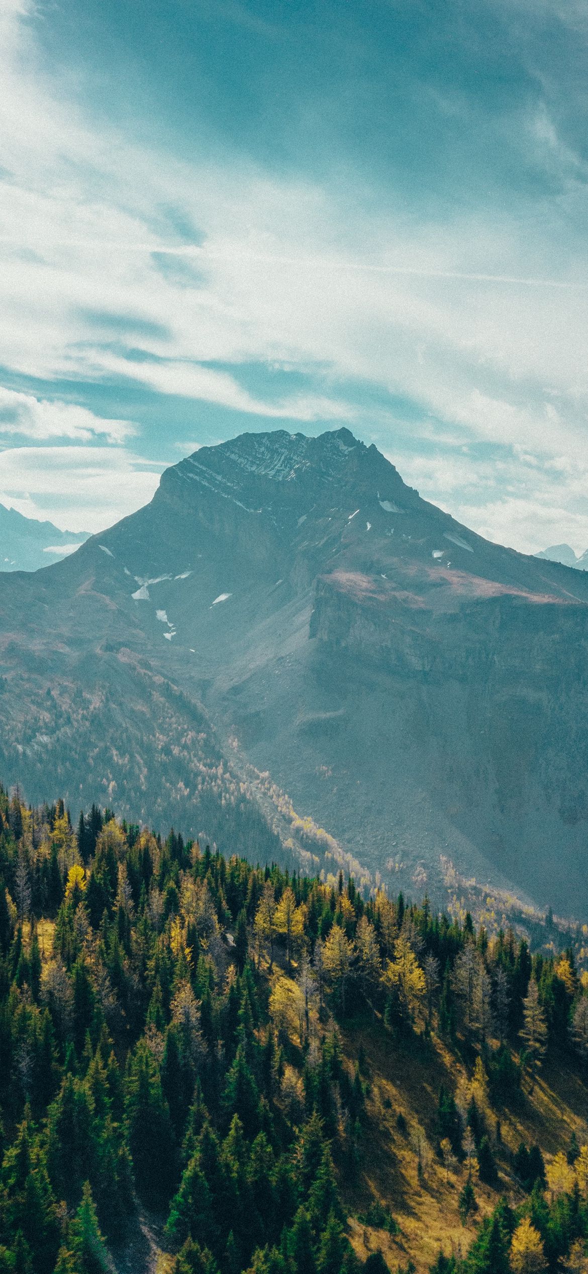 Home Screen Wallpaper