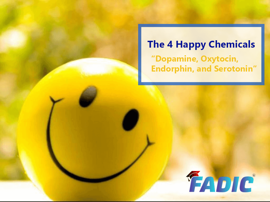 The Happy Chemicals In Our Brain How To Bee
