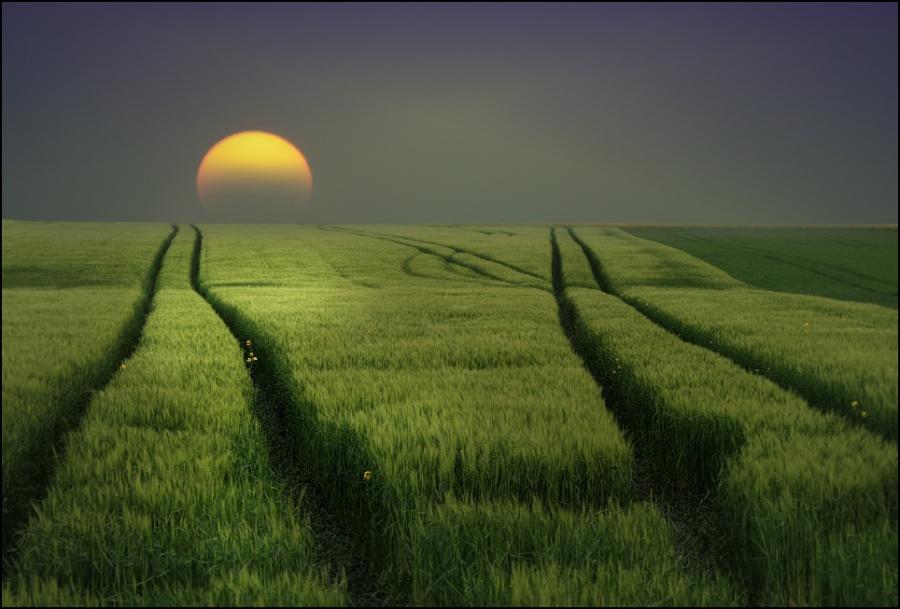 Beautiful Cool Wallpaper