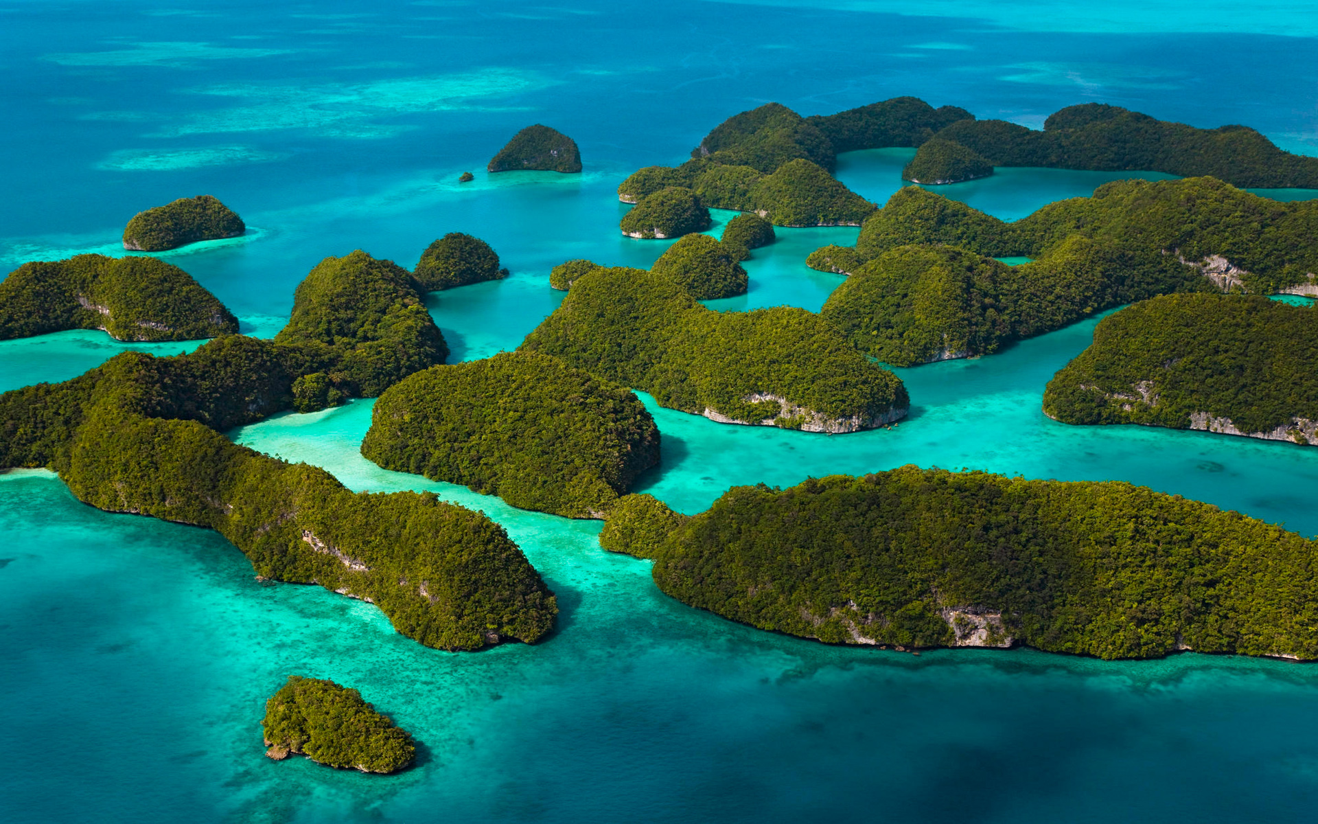Wallpaper Tropics Ocean Island Palau Micronesia