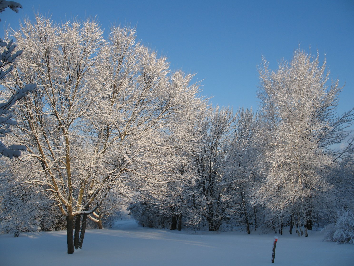 Adirondac Morning Snowshine By Hideawayhill