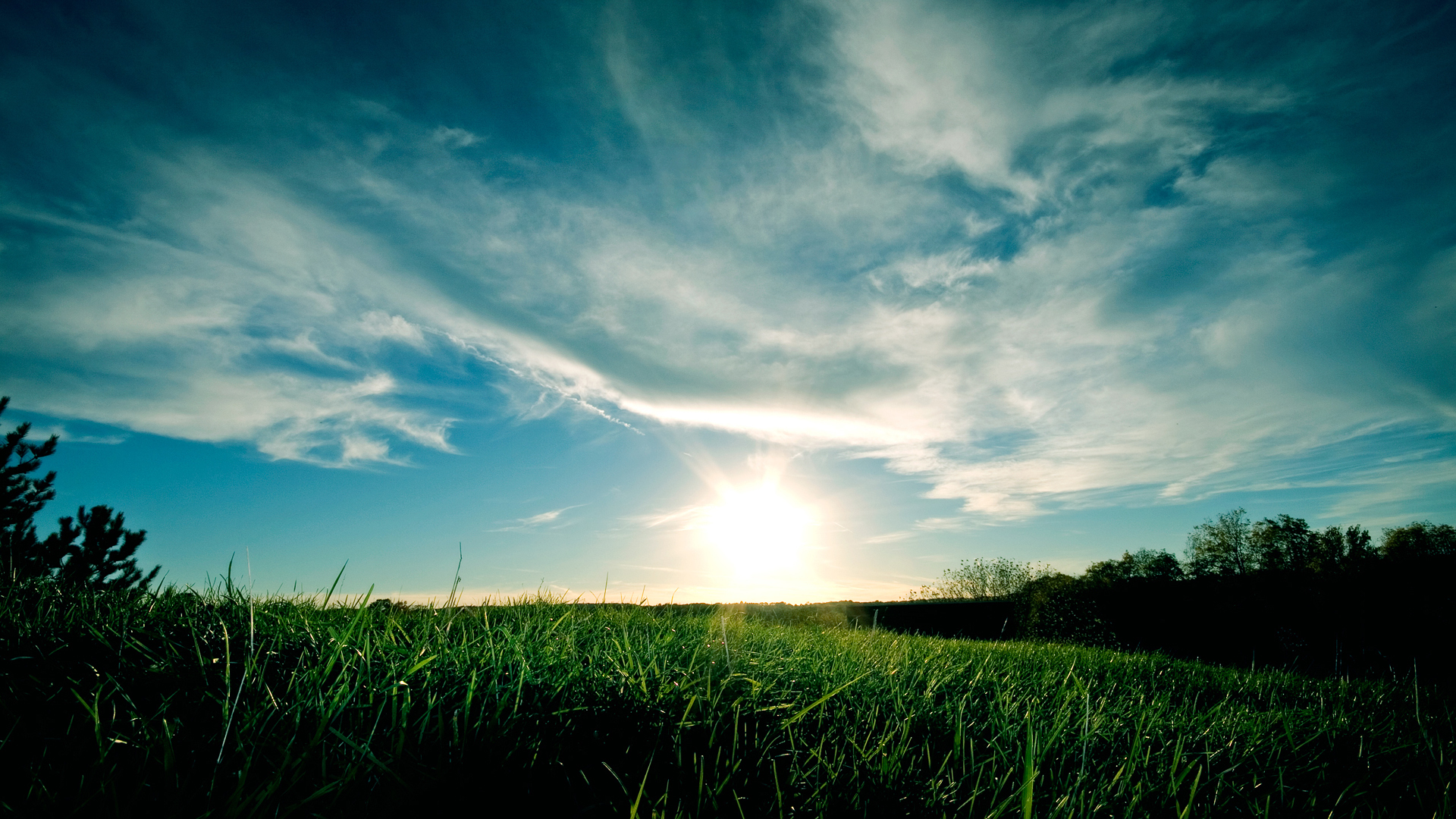 Wallpaper Full HD 1080p Online