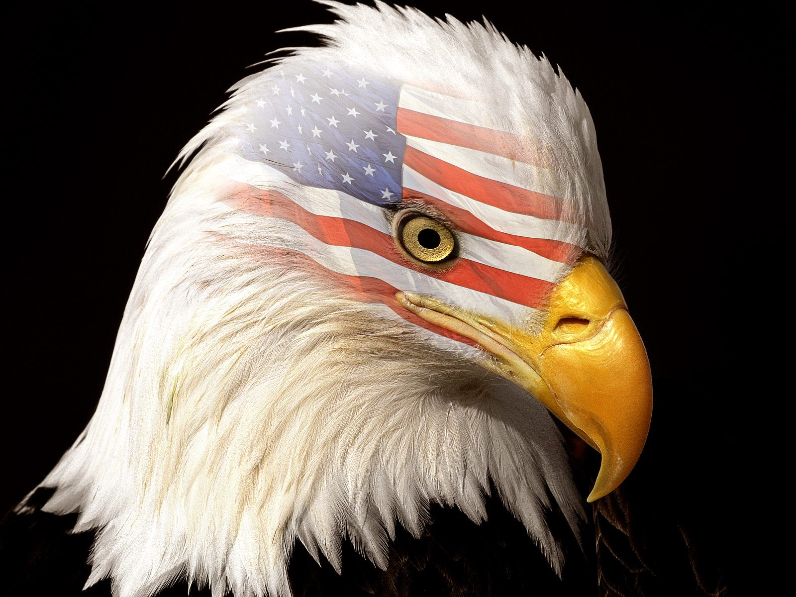 The Patriot Wallpaper