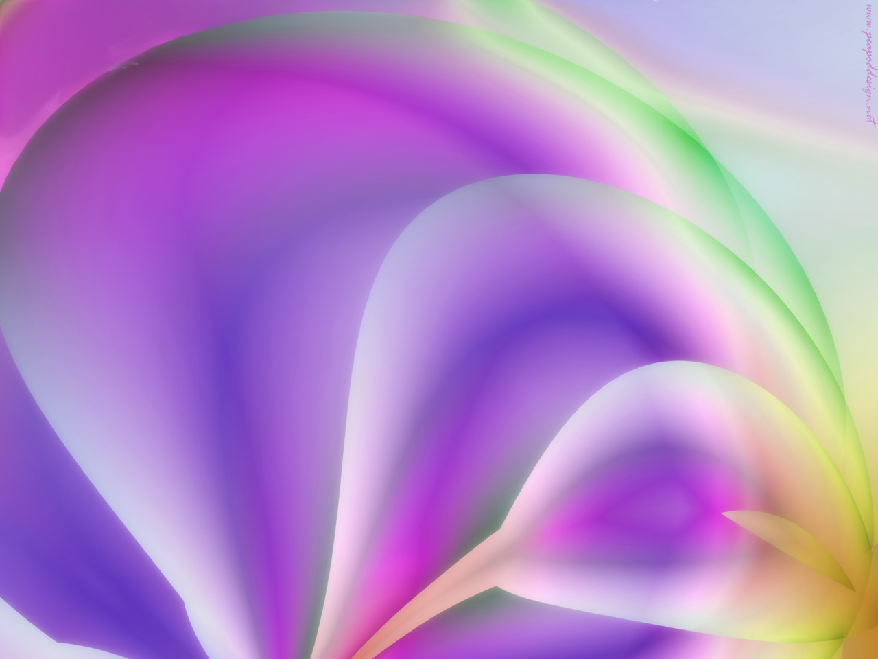 Purple Calla Lily HD Wallpaper Abstract Vector
