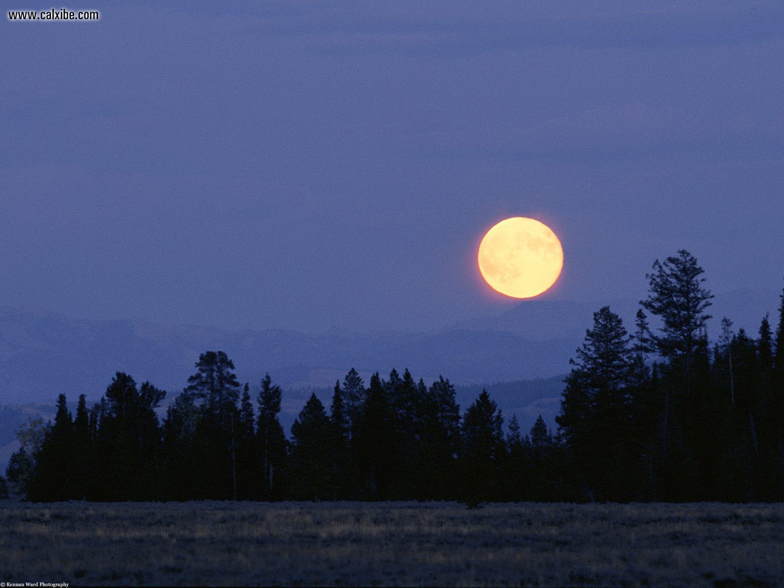Harvest Moon Wyoming Nature