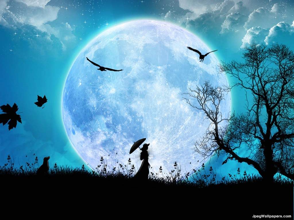 Wolf Moon Wallpaper 10961 Hd Wallpapers in Animals   Imagescicom