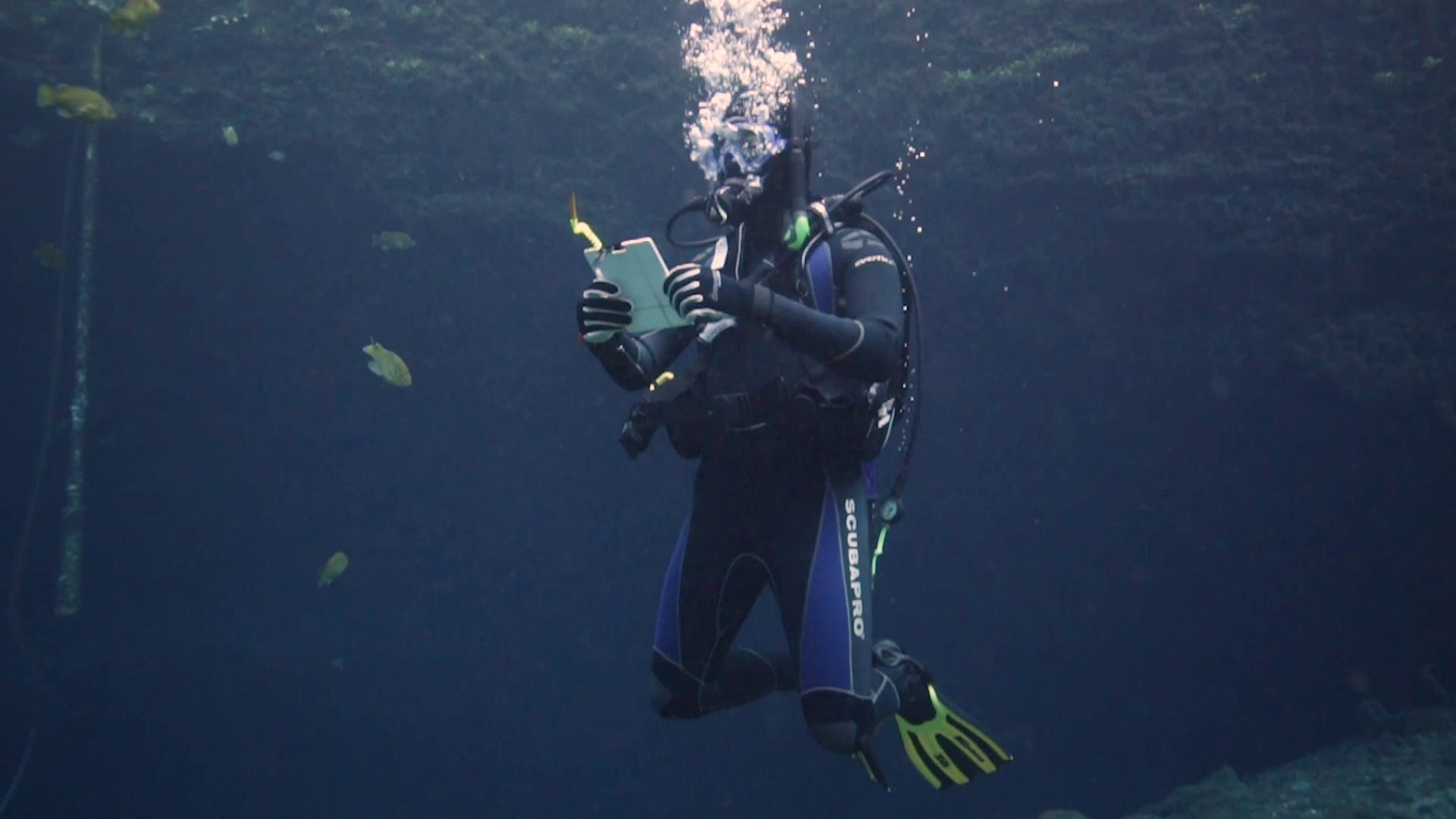 Tusa Liberator Bc Scubalab Testers Choice Winner Video Dailymotion