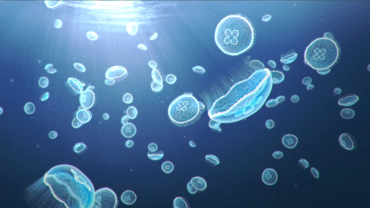 Moon Jellyfish Wallpaper Here S A Jelly Fish Animation
