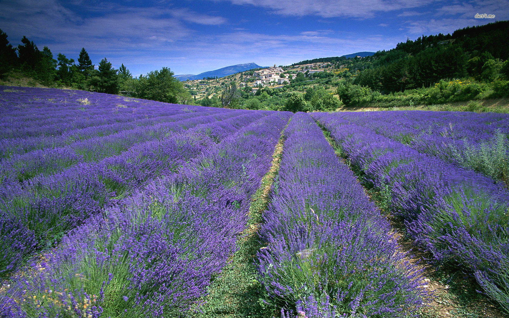 Provence France Wallpaper Nature