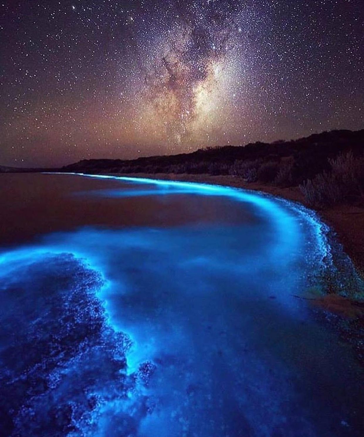 An Spectacular Image Of Bioluminescence Dazzles Beachgoers Event