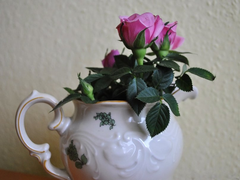 Teapot Of Roses Wallpaper