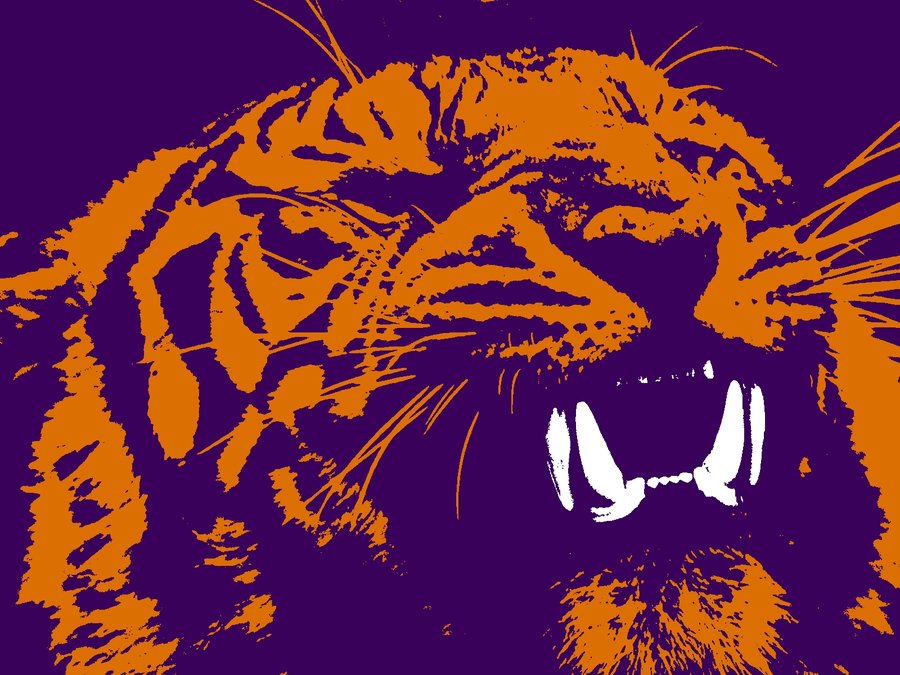 Clemson Tigers Desktop Wallpaper  WallpaperSafari