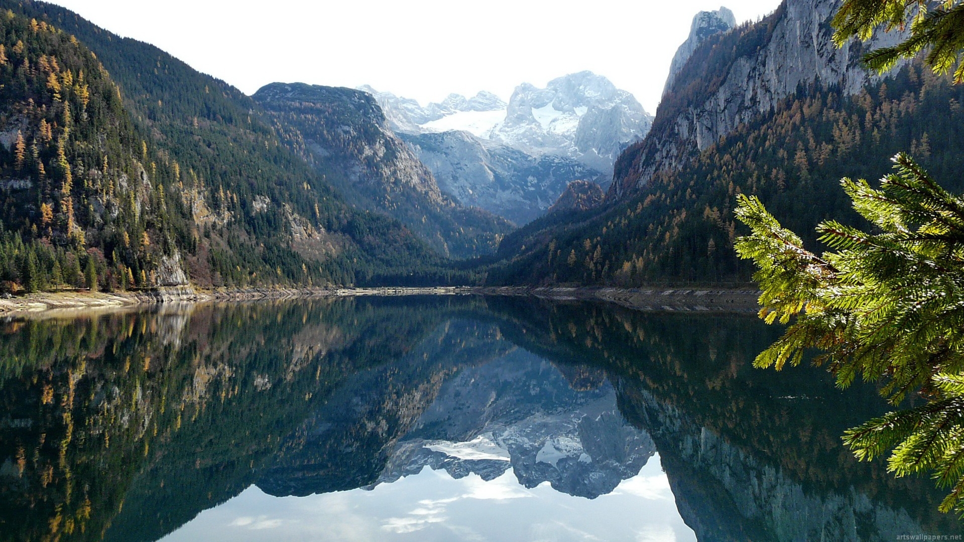  Download Wallpaper Widescreen 1080p Full HD By briannaking 1080P 