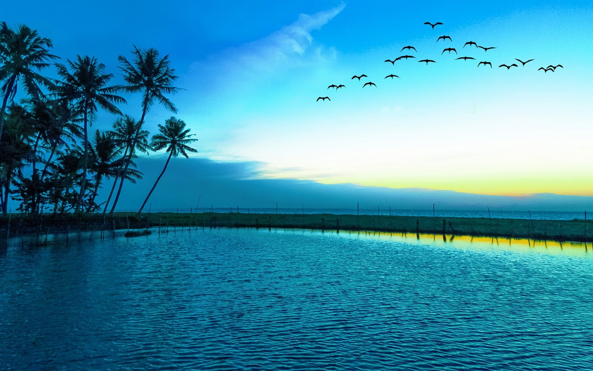 Nature Landscape Birds Flying Sunrise Blue Lake Palm Trees
