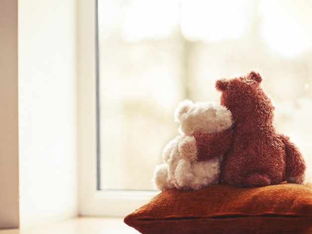 Wallpaper Teddy Bear On The Pillow Photo Pictures