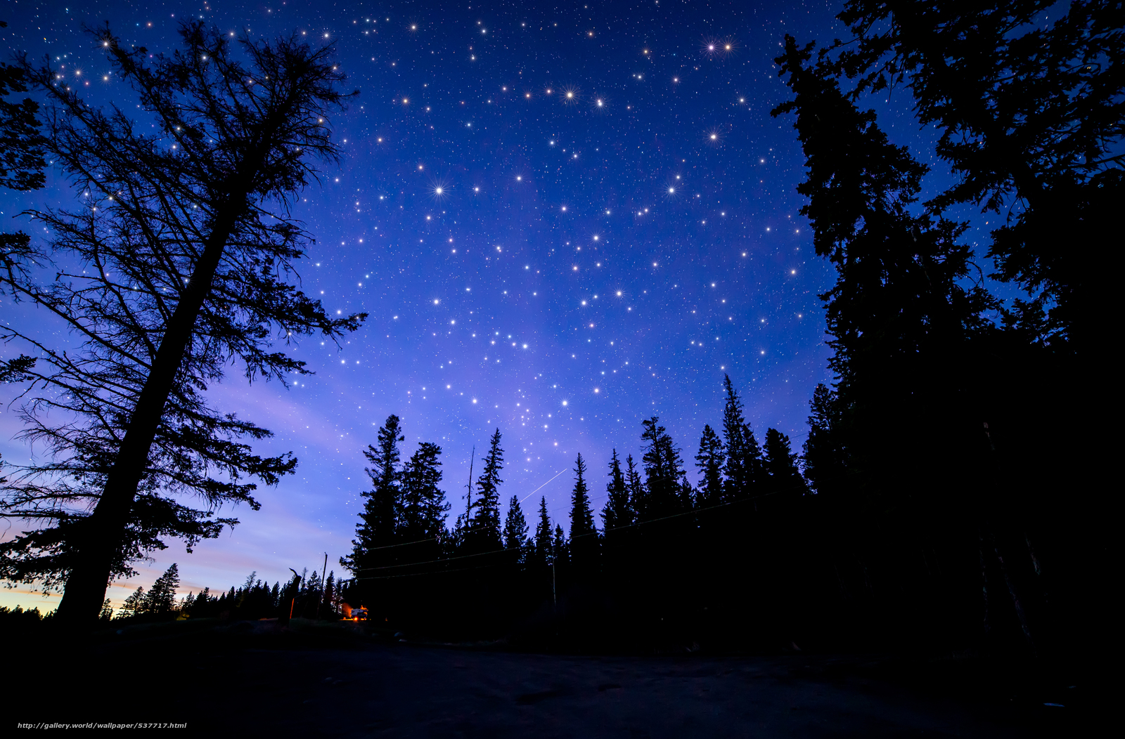 Wallpaper Blue Night Sky Roche Lake Provincial Park