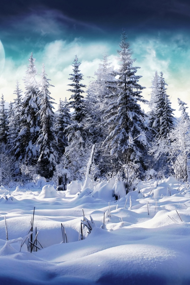 Winter Wonderland Iphone Wallpaper Images Pictures   Becuo