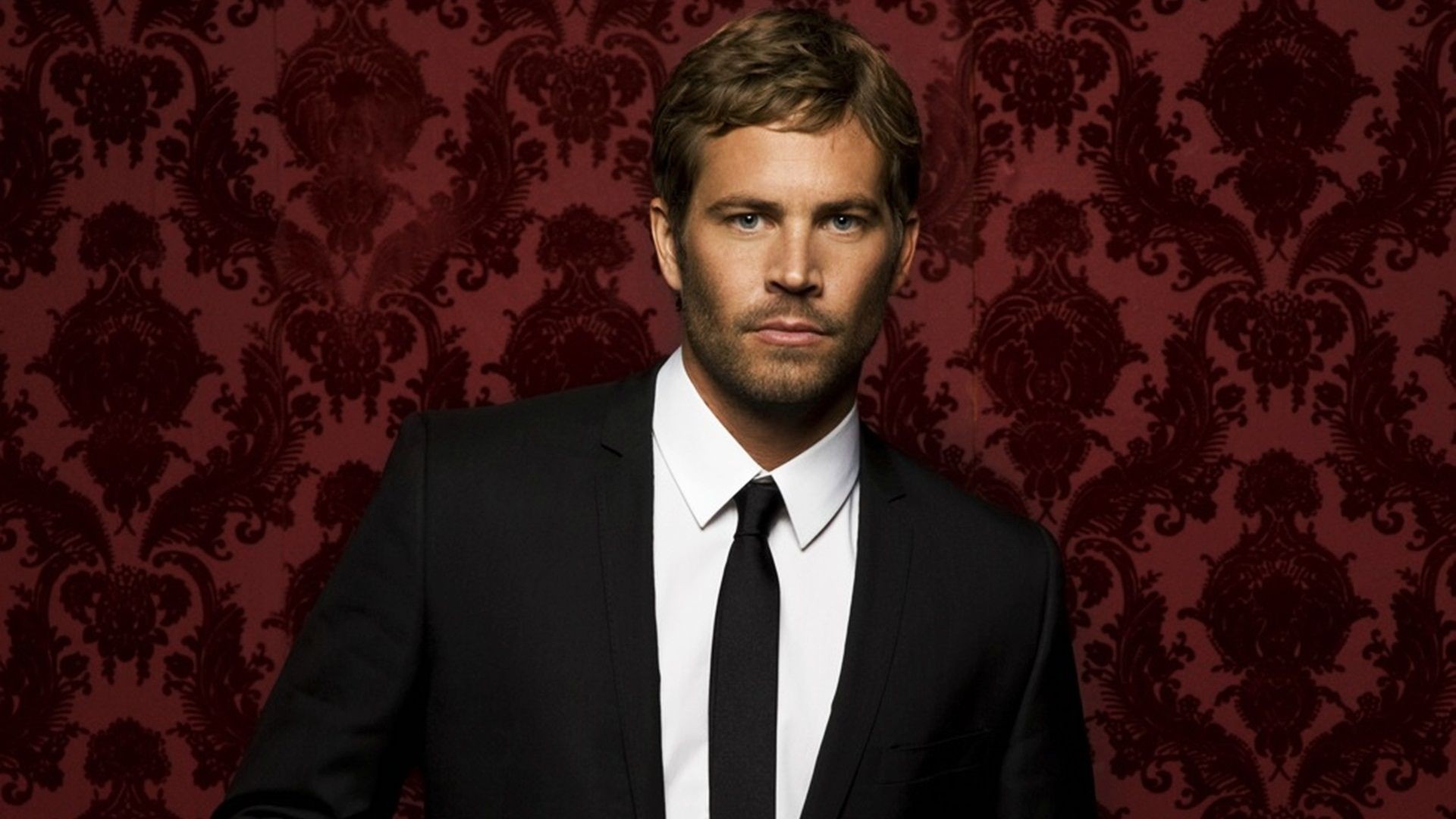 Download Paul Walker With Suit HD Wallpapers 6086 Full Size