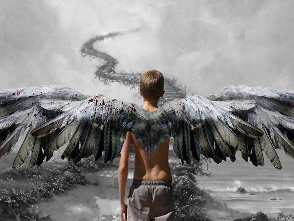 Angel Boy Wallpaper Full HD