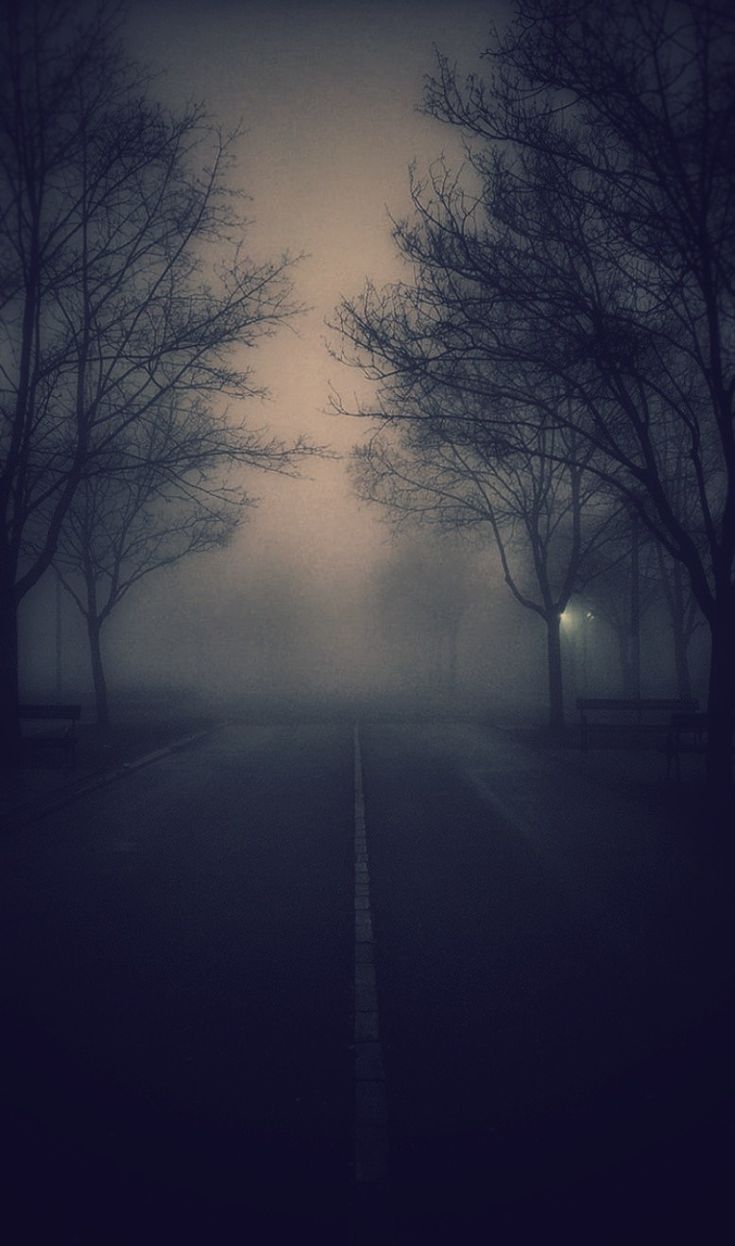 Into The Unknown Fog Photography Dark Street Anime Background