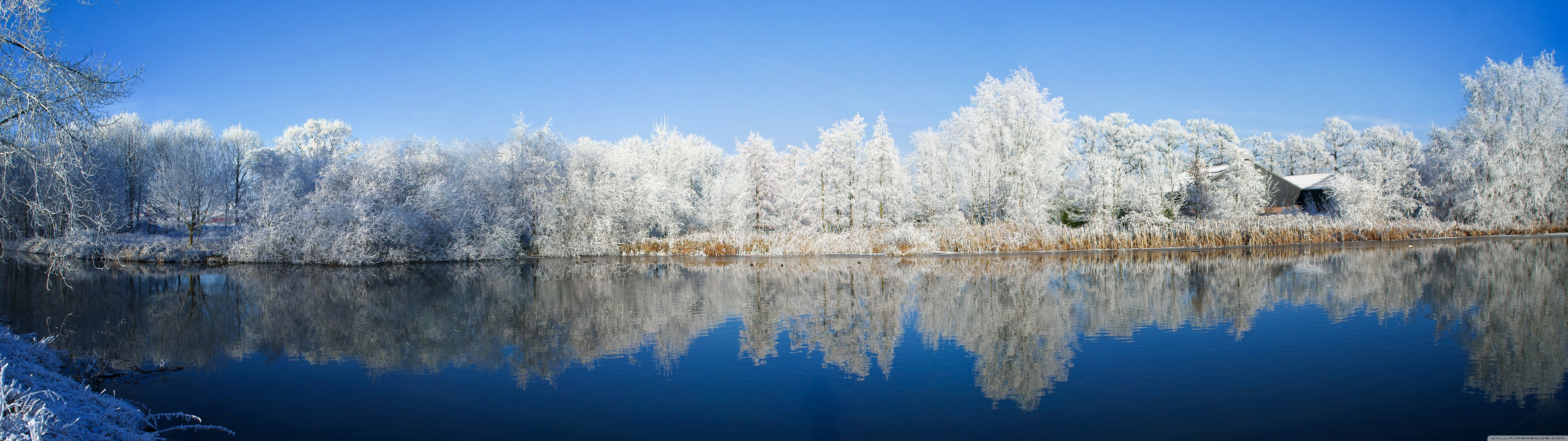Panoramic Photography Winter Ultra HD Desktop Background Wallpaper
