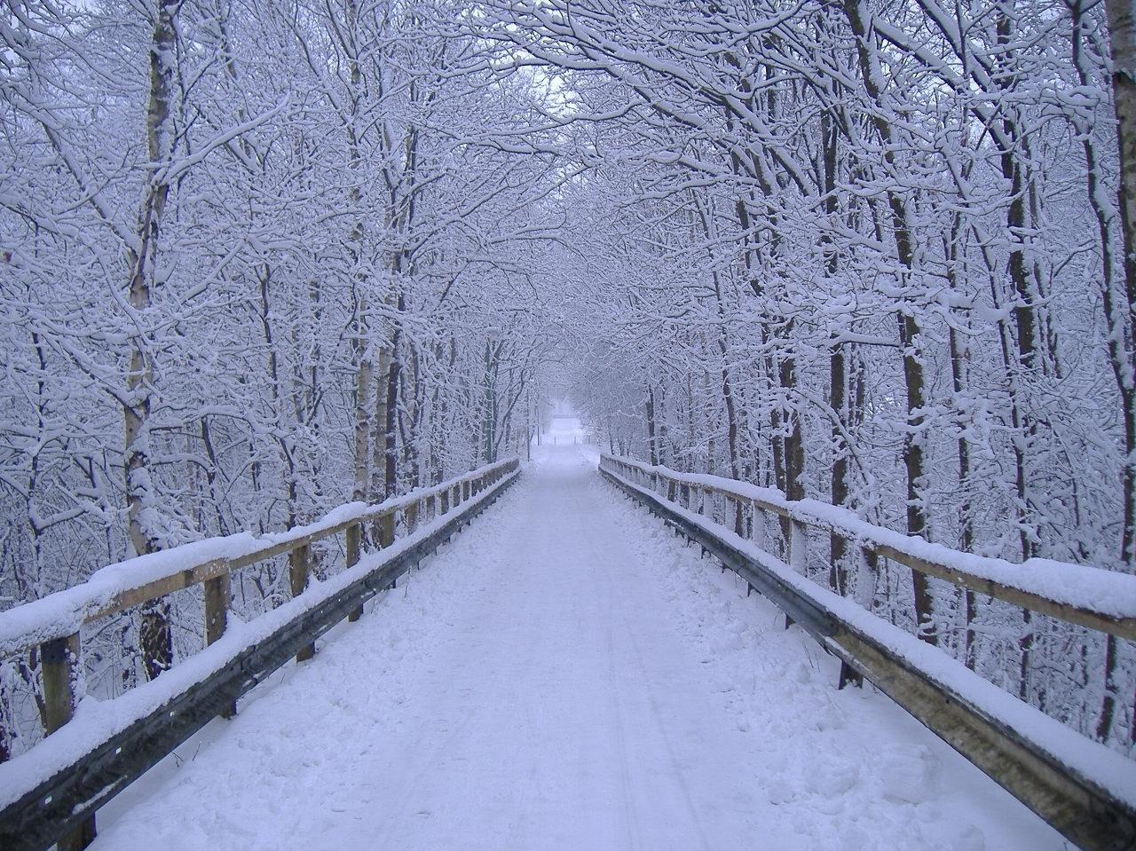 Winter Landscape Design Photos Scenery