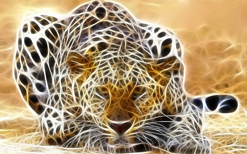 Free download Jaguar Render 3D Fantasy fondo de pantalla fondos de  [800x500] for your Desktop, Mobile & Tablet | Explore 93+ Jaguares  Wallpapers | Black Jaguar Wallpaper, Jaguar HD Wallpaper, Jaguar Desktop  Wallpaper