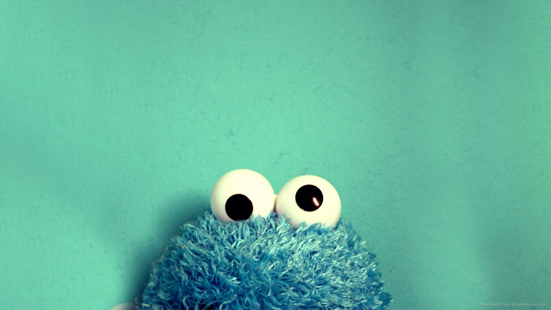 Funny Cookie Monster Wallpaper 1080p HD Background Screensavers