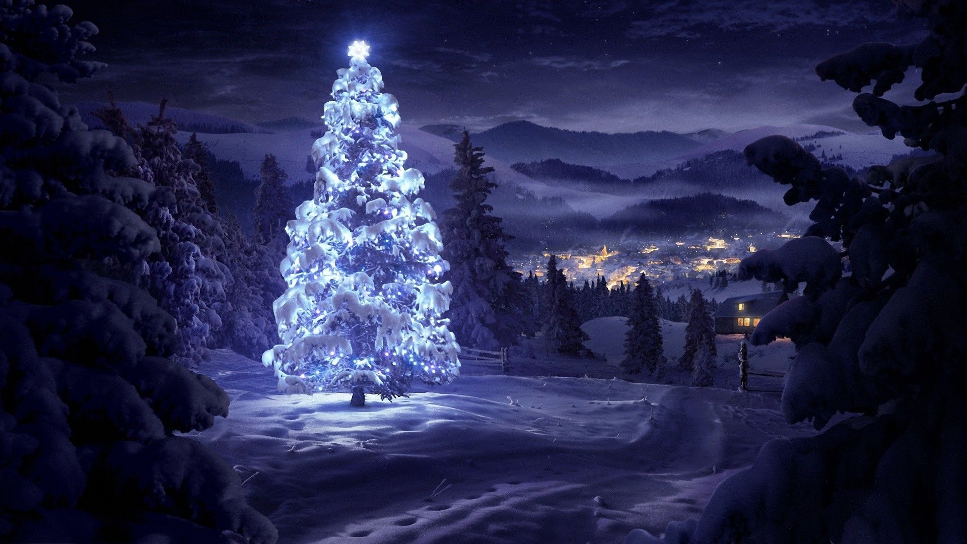 Beautiful Christmas Tree Wallpaper Snow Night HD